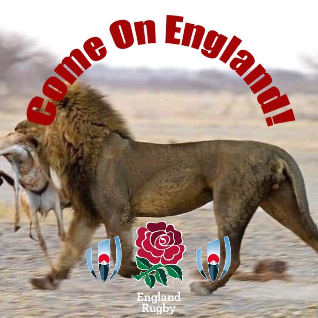 England Rugby.jpg