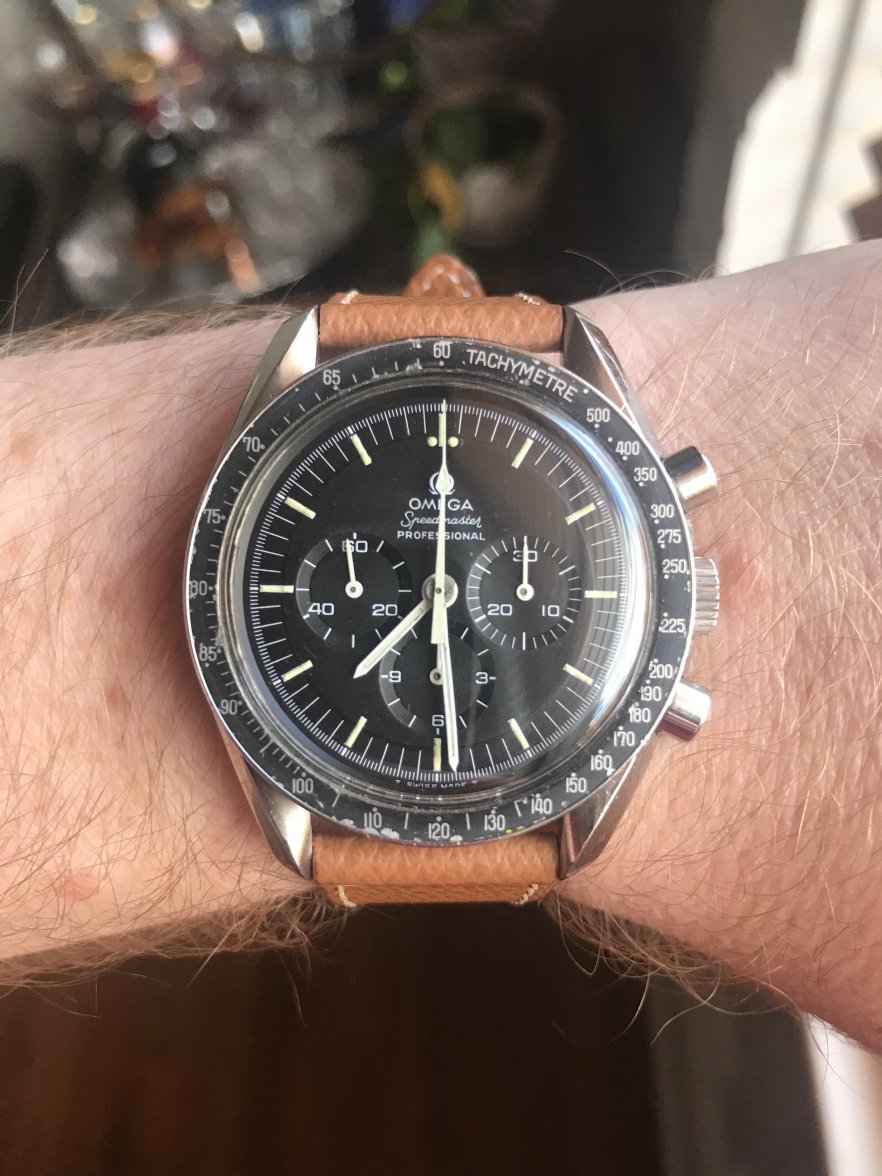 53676F38-AC33-491F-8A14-F9018B351D95.jpeg 53676F38-AC33-491F-8A14-F9018B351D95.jpeg