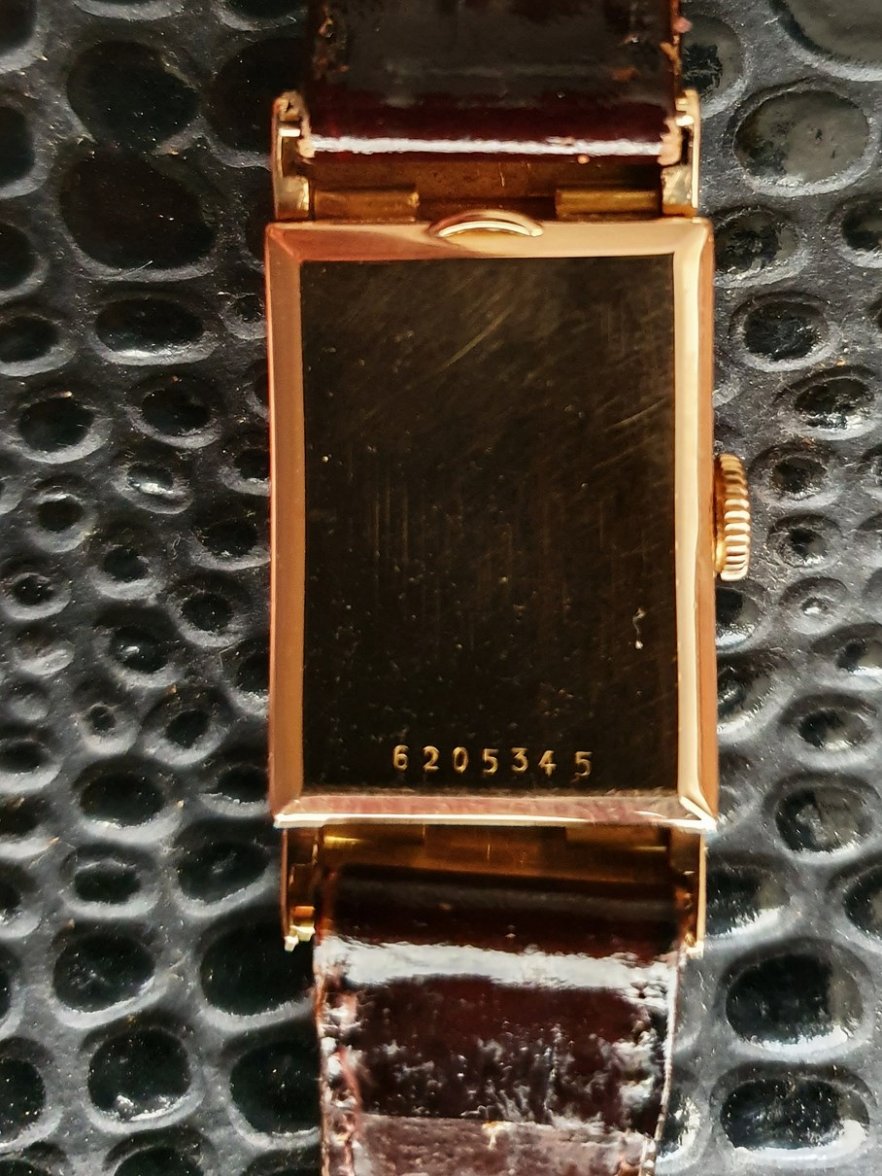 20191104_114024-01 (Copiar).jpeg