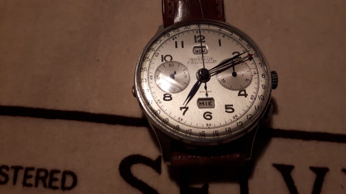 WhatsApp Image 2019-11-06 at 19.12.02.jpeg