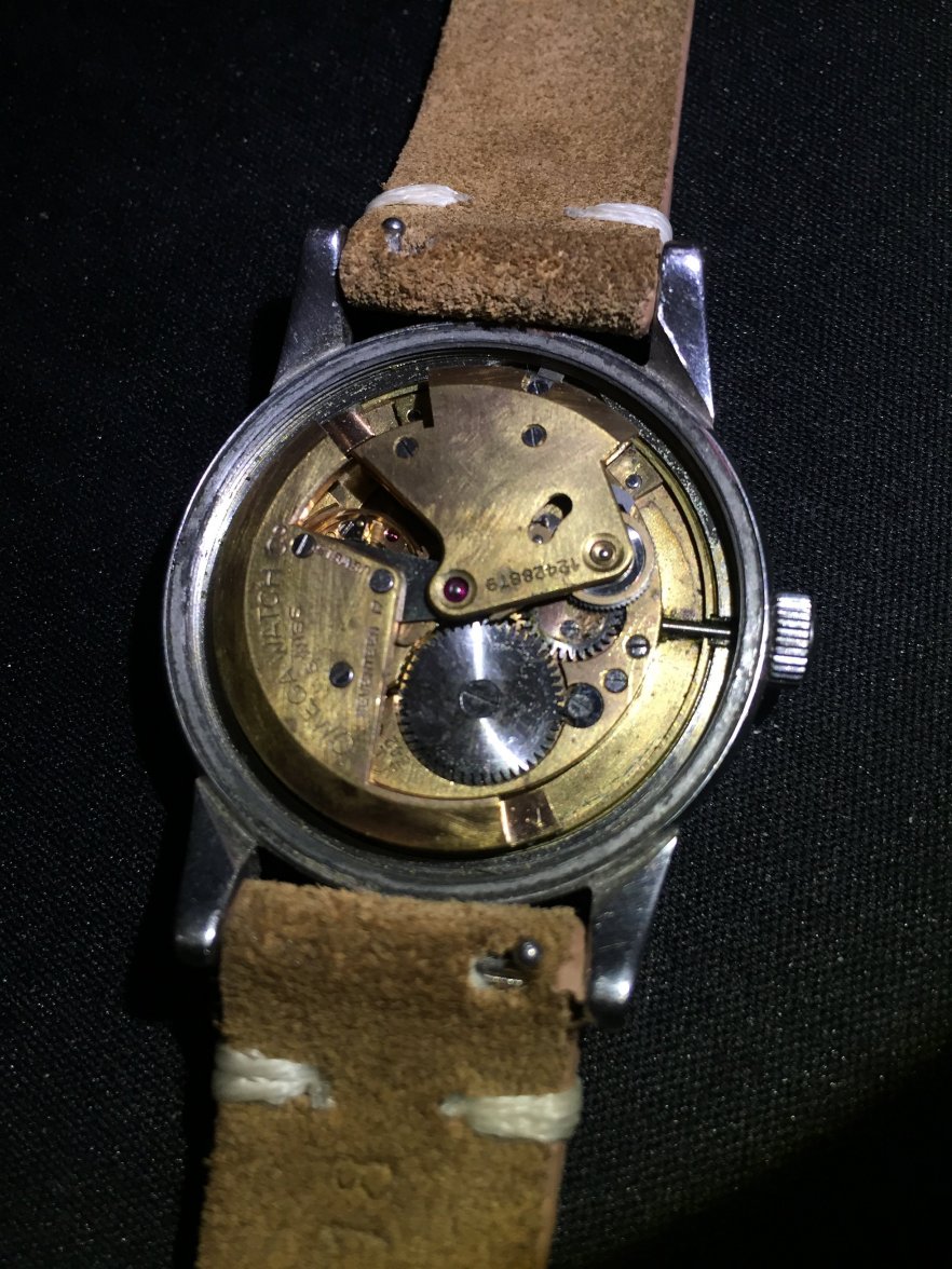 IMG_0730.JPG IMG_0730.JPG