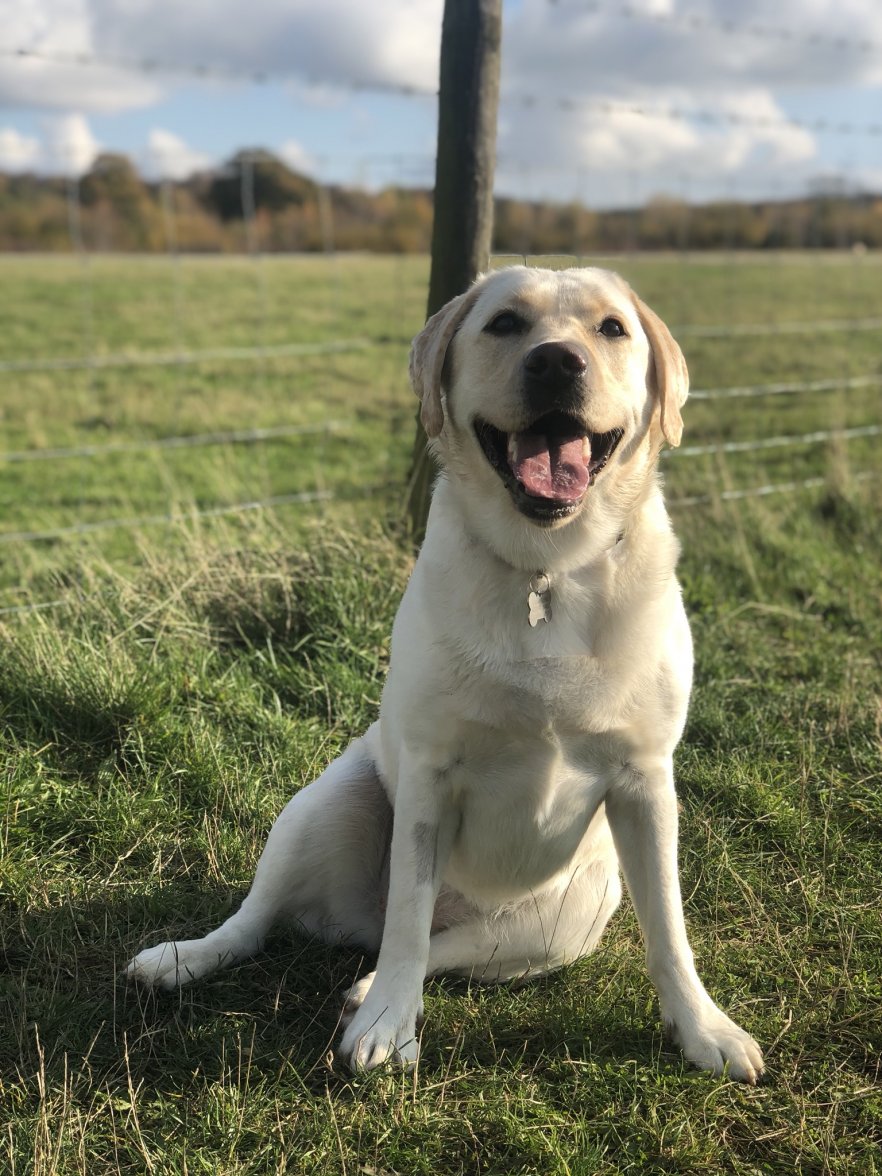 8AA7D09A-035E-4E64-AF2C-B75B0A681D8A.jpeg 8AA7D09A-035E-4E64-AF2C-B75B0A681D8A.jpeg