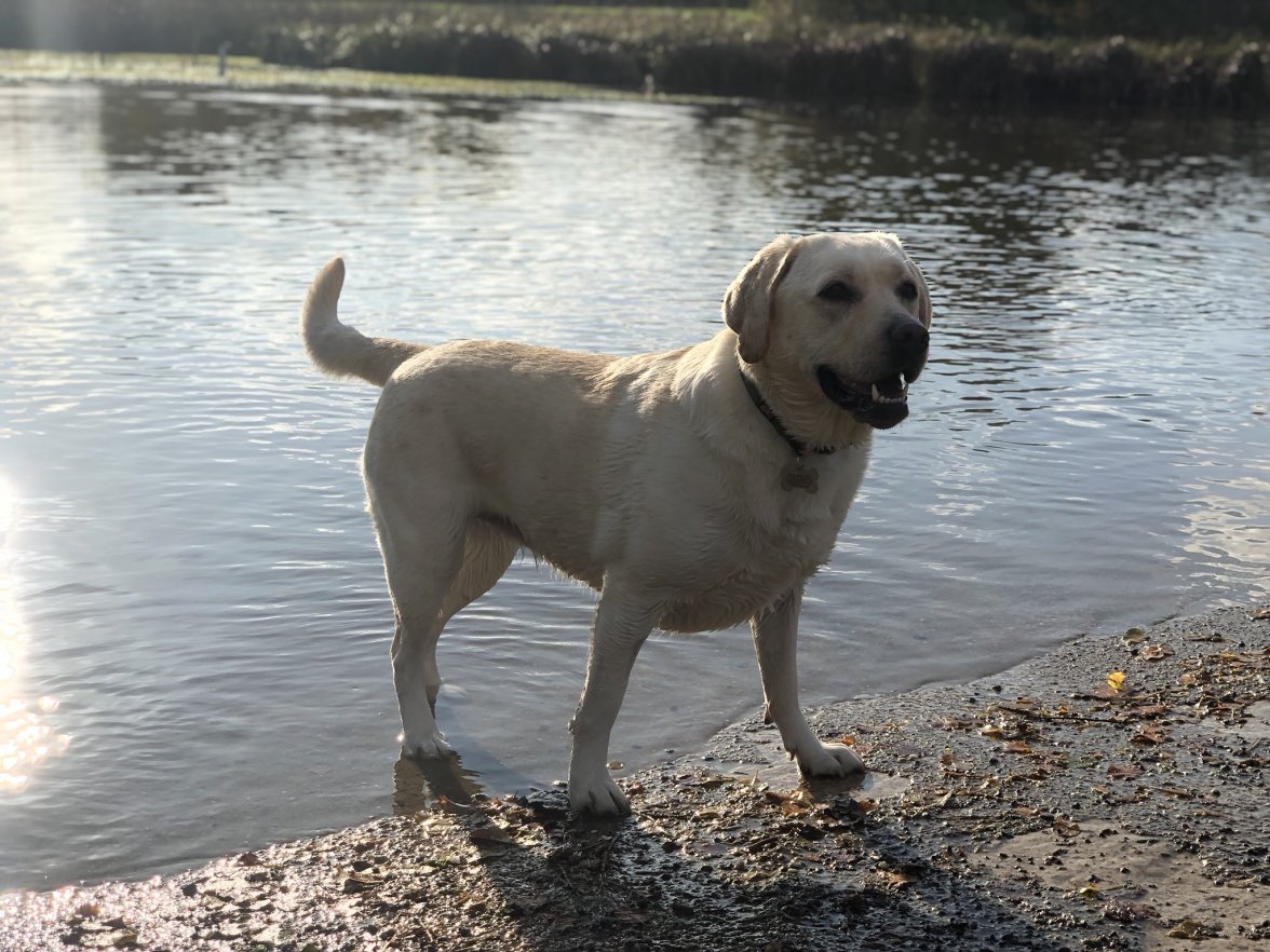 B0EC2948-A66B-4ADB-A8C1-07D665EE6444.jpeg B0EC2948-A66B-4ADB-A8C1-07D665EE6444.jpeg