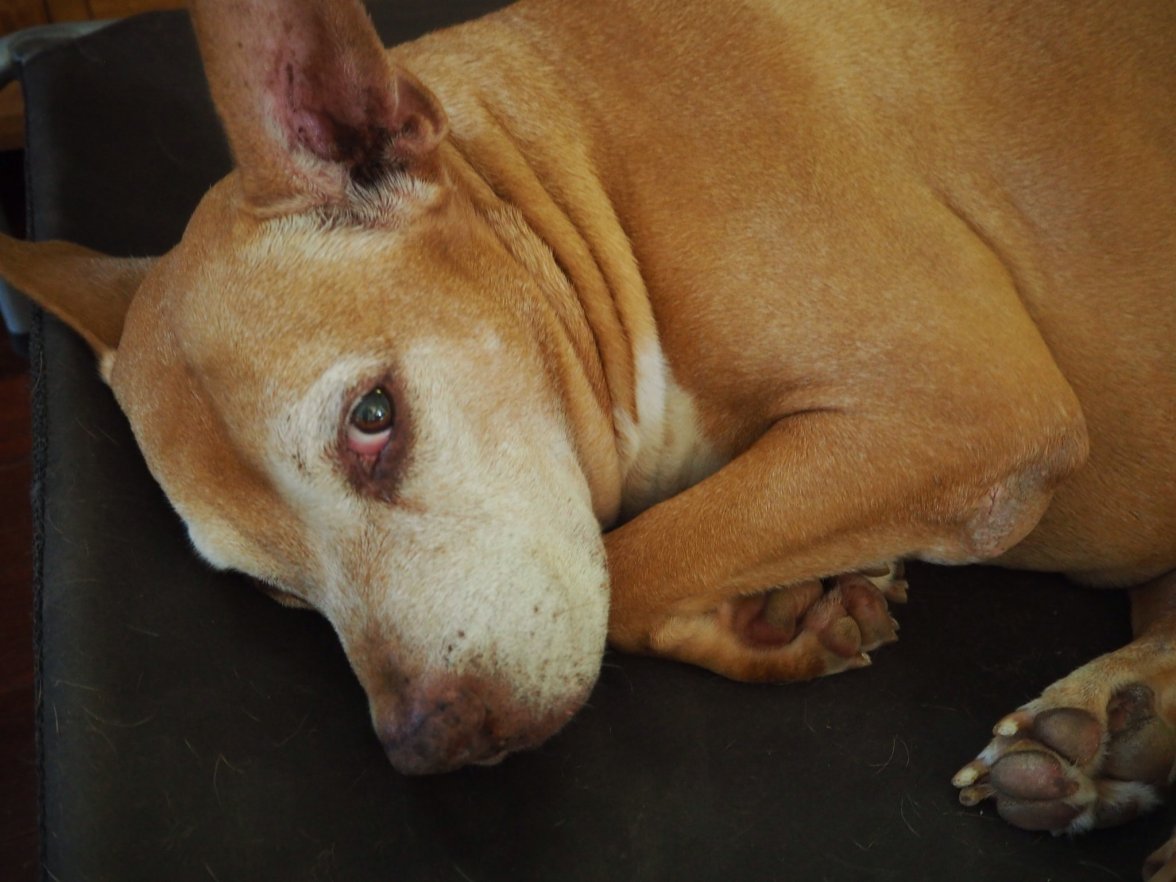 image.jpeg image.jpeg