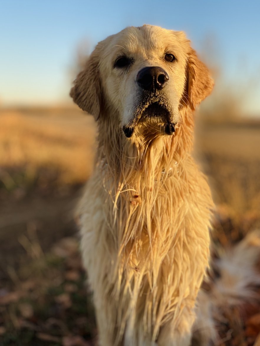 B348080E-6A98-4BBE-B50A-327B61E9ABAE.jpeg B348080E-6A98-4BBE-B50A-327B61E9ABAE.jpeg