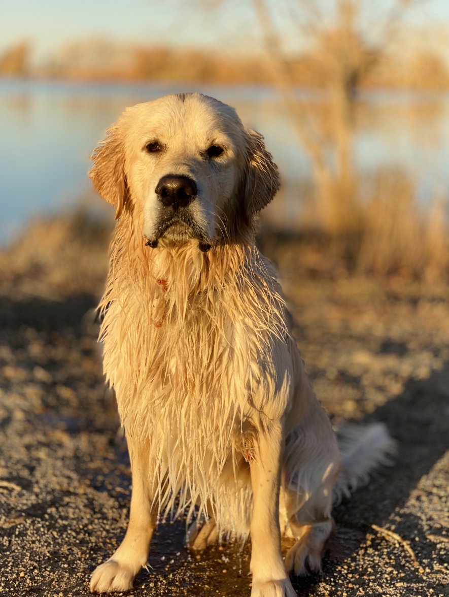 CE880620-B509-4F62-A05A-2DA18A8F9609.jpeg CE880620-B509-4F62-A05A-2DA18A8F9609.jpeg