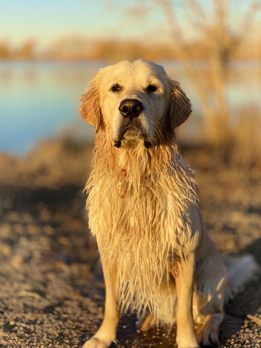 49086336-5977-4E88-A49D-654F281E5C05.jpeg 49086336-5977-4E88-A49D-654F281E5C05.jpeg