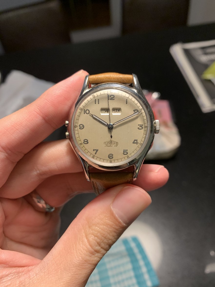 2B0B3D58-A730-4B42-9D81-A0380A01DBD4.jpeg 2B0B3D58-A730-4B42-9D81-A0380A01DBD4.jpeg