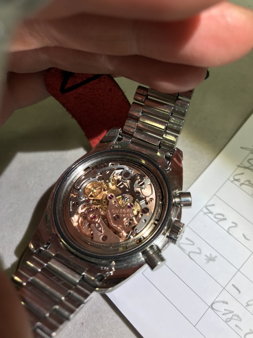 B59BD718-80BD-4E2D-A240-DC7A7D9D78FC.jpeg B59BD718-80BD-4E2D-A240-DC7A7D9D78FC.jpeg