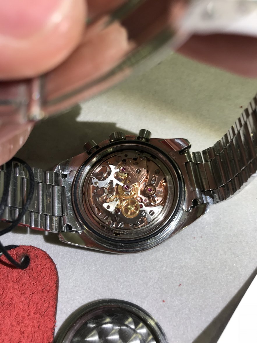 89862CB1-D6D5-4046-8294-5206E2754235.jpeg 89862CB1-D6D5-4046-8294-5206E2754235.jpeg