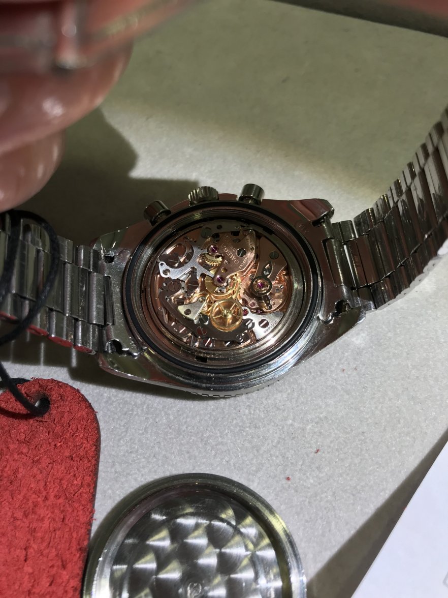 3CD28F34-8089-4131-96FA-B4EA49FF88E5.jpeg 3CD28F34-8089-4131-96FA-B4EA49FF88E5.jpeg