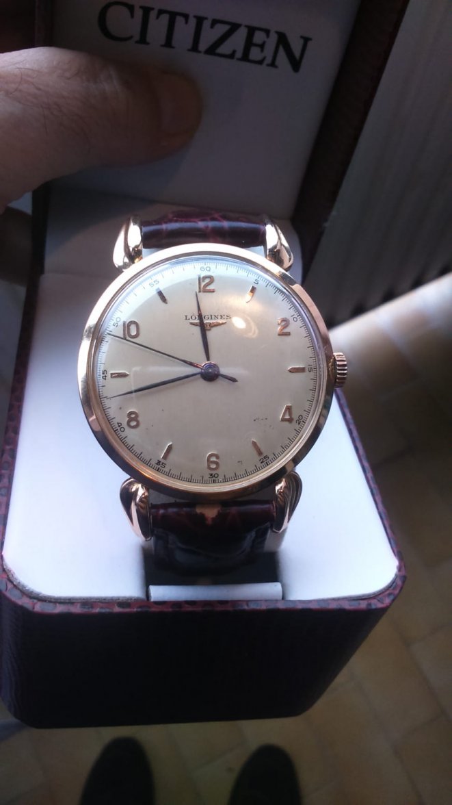 9764C1D5-47EE-4CD1-9778-2C0CE199112E.jpeg 9764C1D5-47EE-4CD1-9778-2C0CE199112E.jpeg