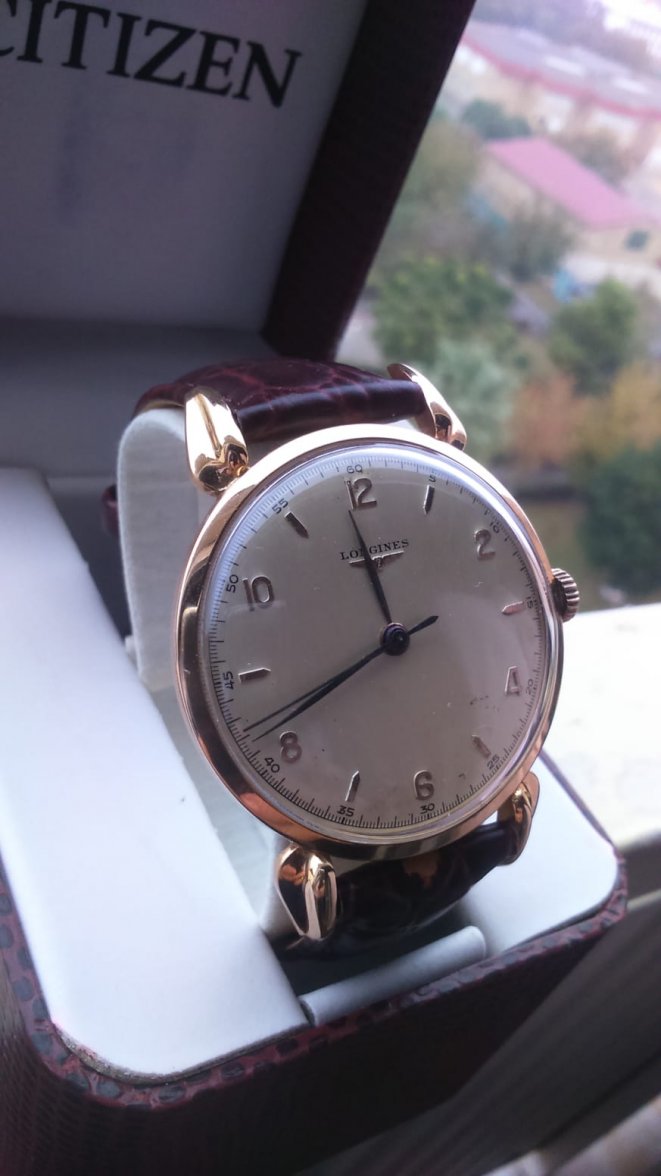 5B0947A0-894D-4C6E-A4F4-A3ED35751424.jpeg 5B0947A0-894D-4C6E-A4F4-A3ED35751424.jpeg