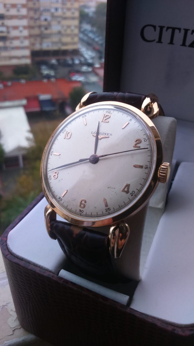 6DA3D7EB-E937-467B-A15D-E8362651D687.jpeg 6DA3D7EB-E937-467B-A15D-E8362651D687.jpeg