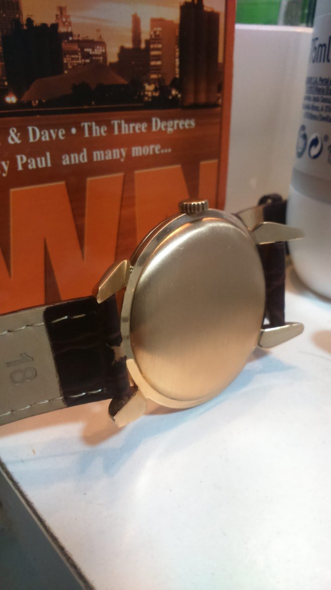 7A09ECCF-DE31-4DF0-85C3-99B8ECCDE08A.jpeg 7A09ECCF-DE31-4DF0-85C3-99B8ECCDE08A.jpeg