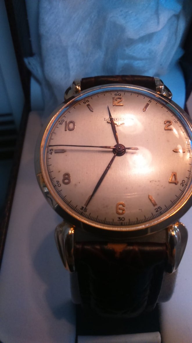 203E8753-3706-42AF-9C10-CA6E21205237.jpeg 203E8753-3706-42AF-9C10-CA6E21205237.jpeg