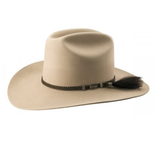 C6C40AD0-1892-4A04-AD5C-76C38B4FF25B.jpeg C6C40AD0-1892-4A04-AD5C-76C38B4FF25B.jpeg