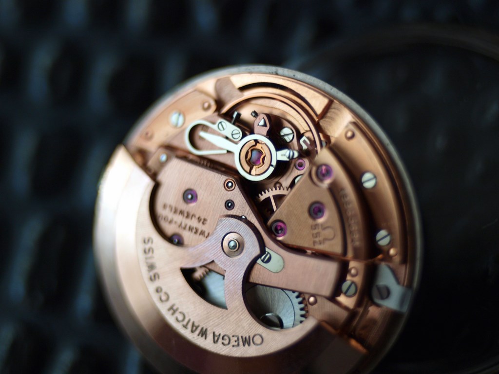 PB270133 (Copiar).jpg