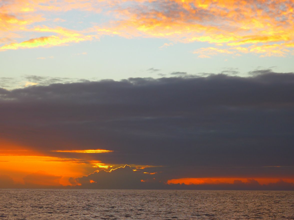 6591622761_b2f4dcf99f_o.jpg 6591622761_b2f4dcf99f_o.jpg