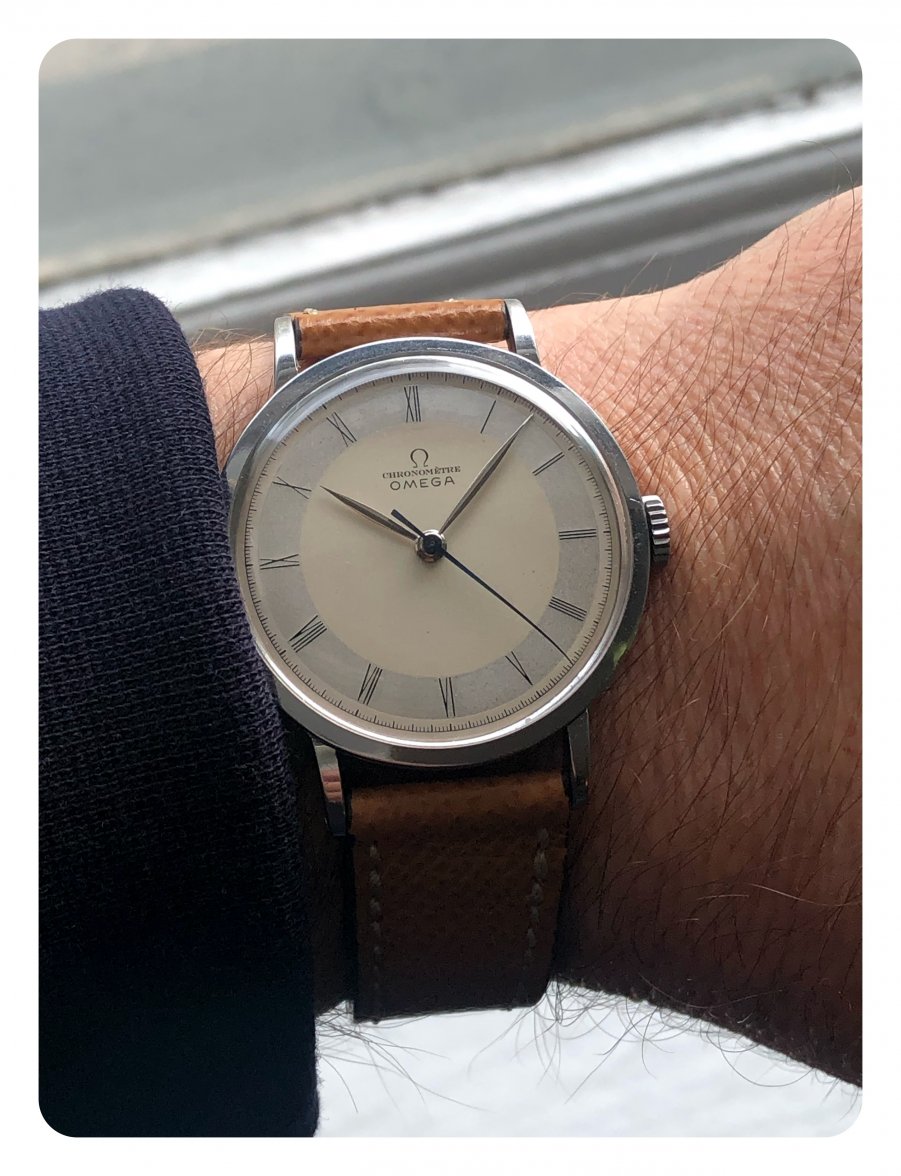 368DD1B5-5CFF-4CE9-8DC2-CBD1DA26A7ED.jpeg 368DD1B5-5CFF-4CE9-8DC2-CBD1DA26A7ED.jpeg