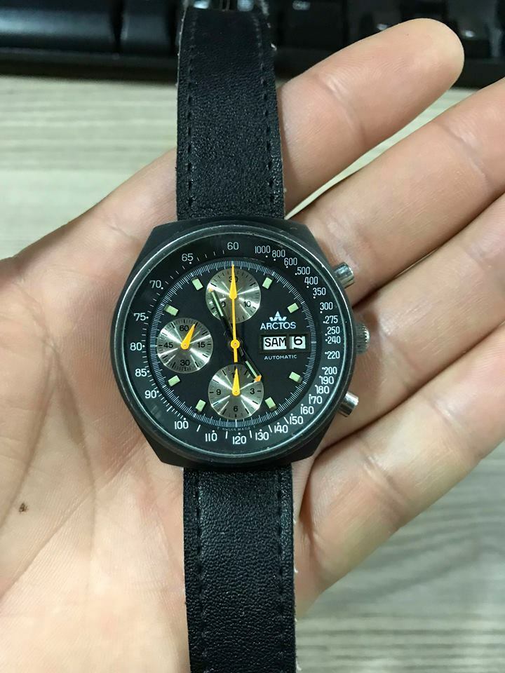 arctos 2.jpg arctos 2.jpg