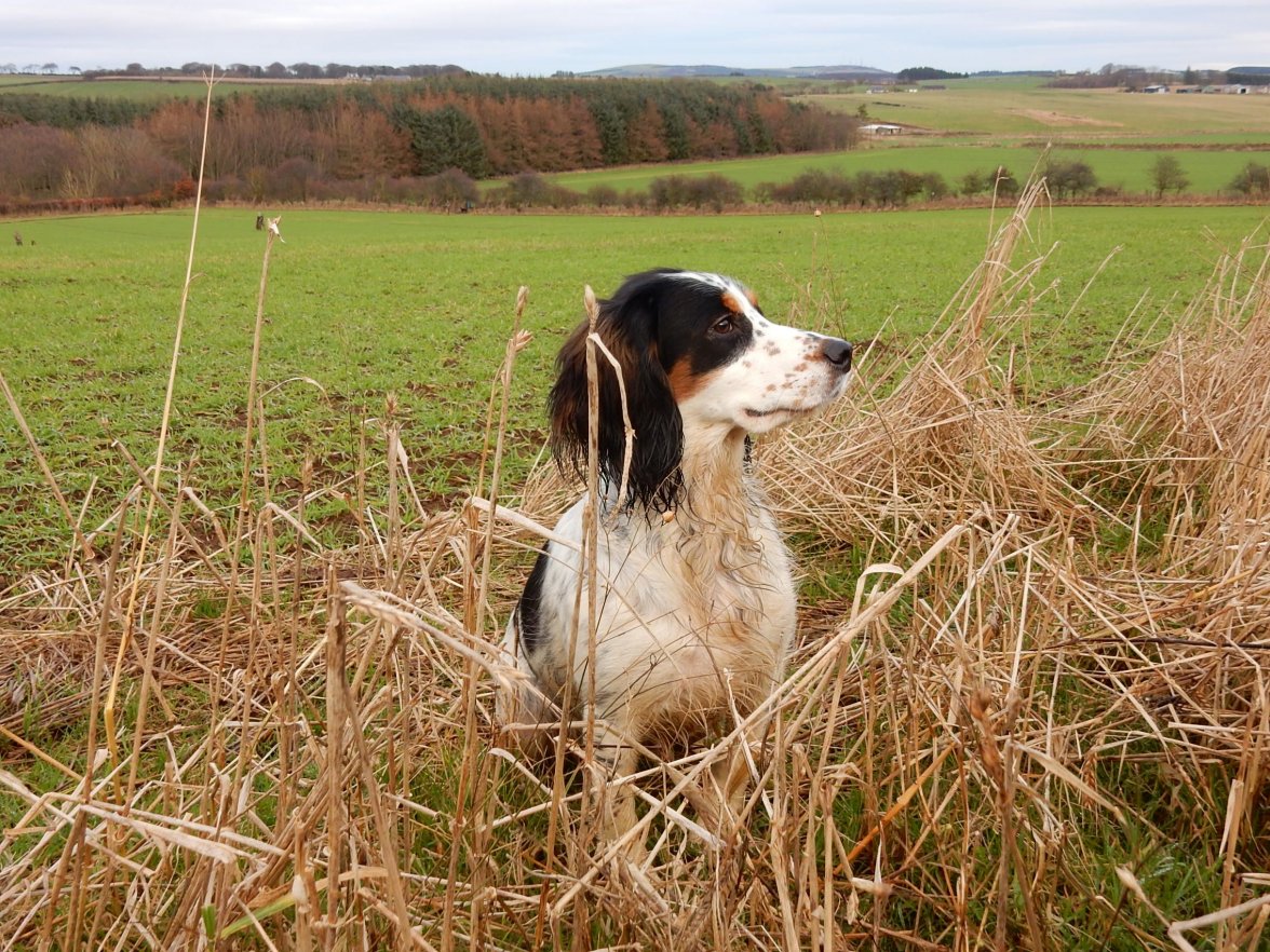 PETERS SHOOT HIGH DRIVE 2 041219.jpg