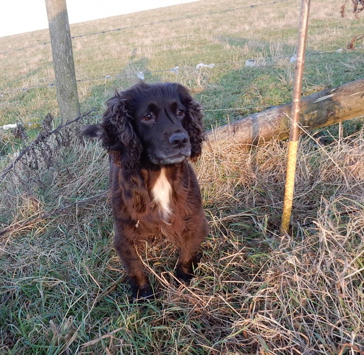 PETERS SHOOT DUCKS 4 041219.jpg