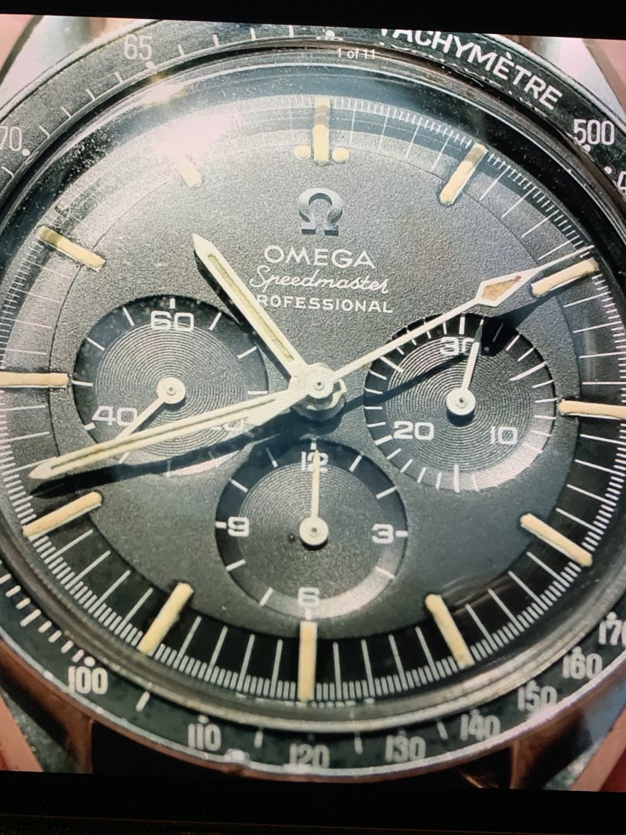 48187AC4-407A-43CA-A25A-38E32BF612B8.jpeg 48187AC4-407A-43CA-A25A-38E32BF612B8.jpeg