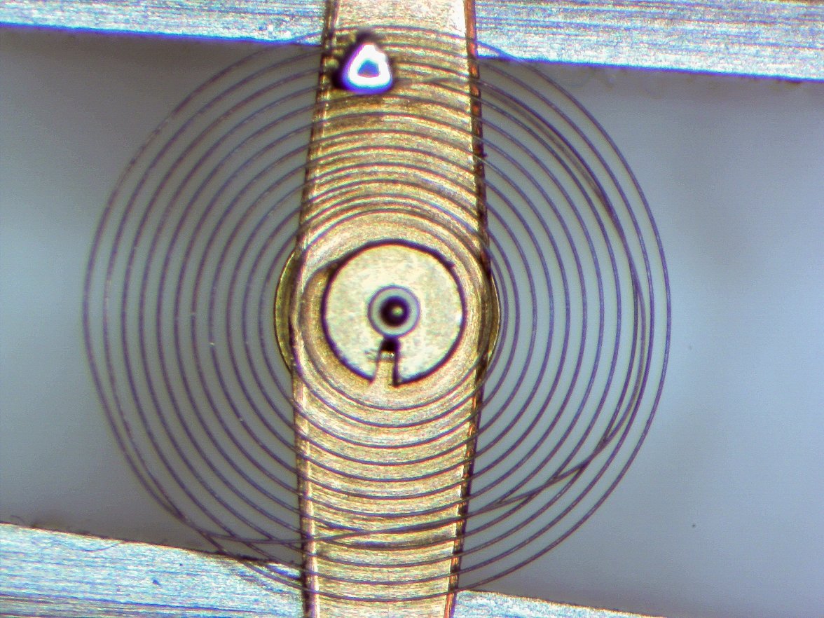 hairspring1.jpg