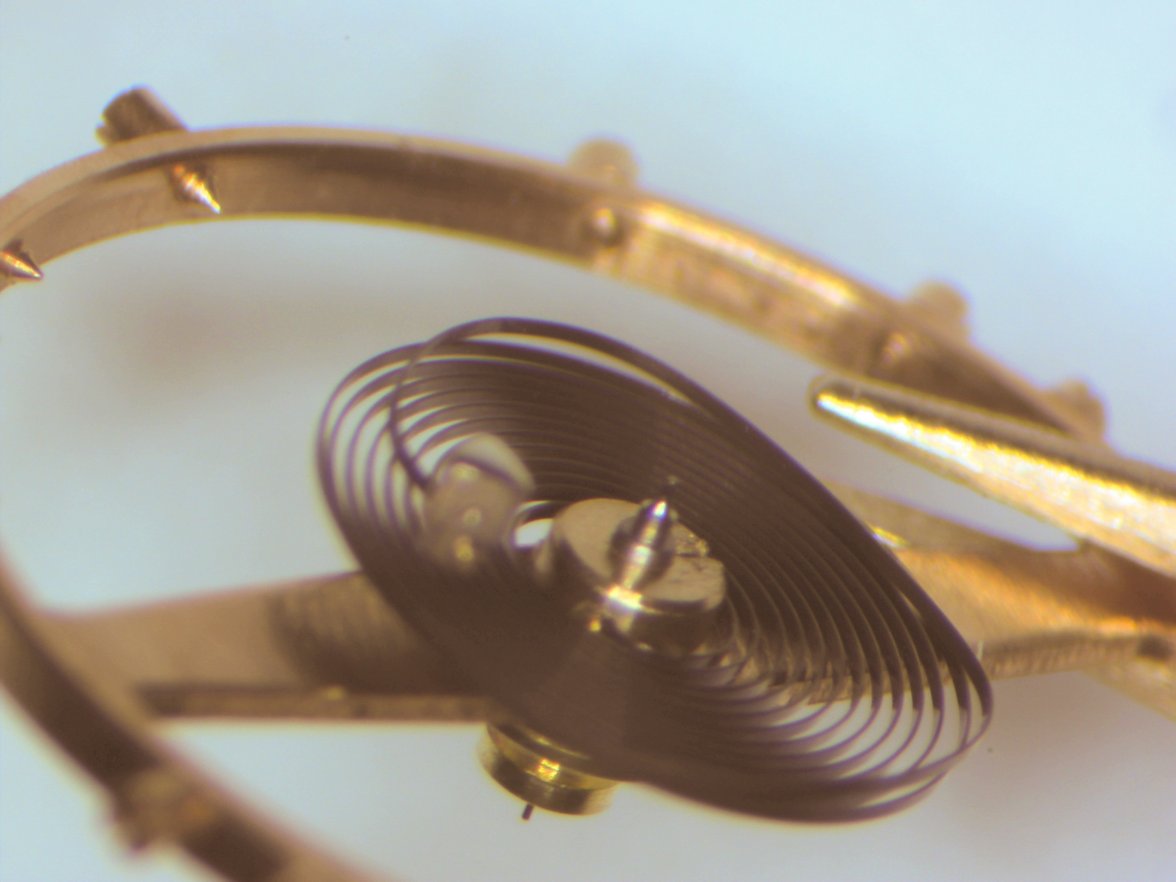 hairspring2.jpg