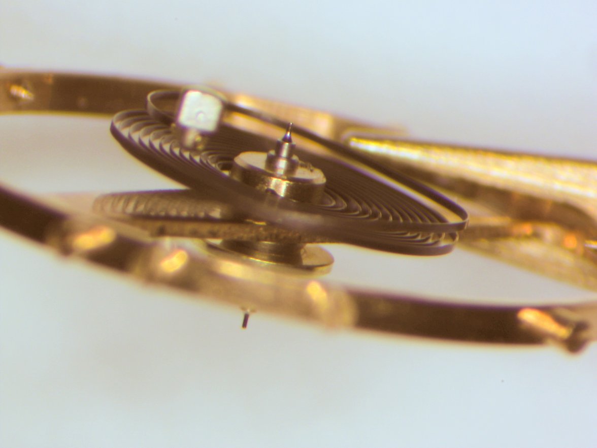 hairspring3.jpg