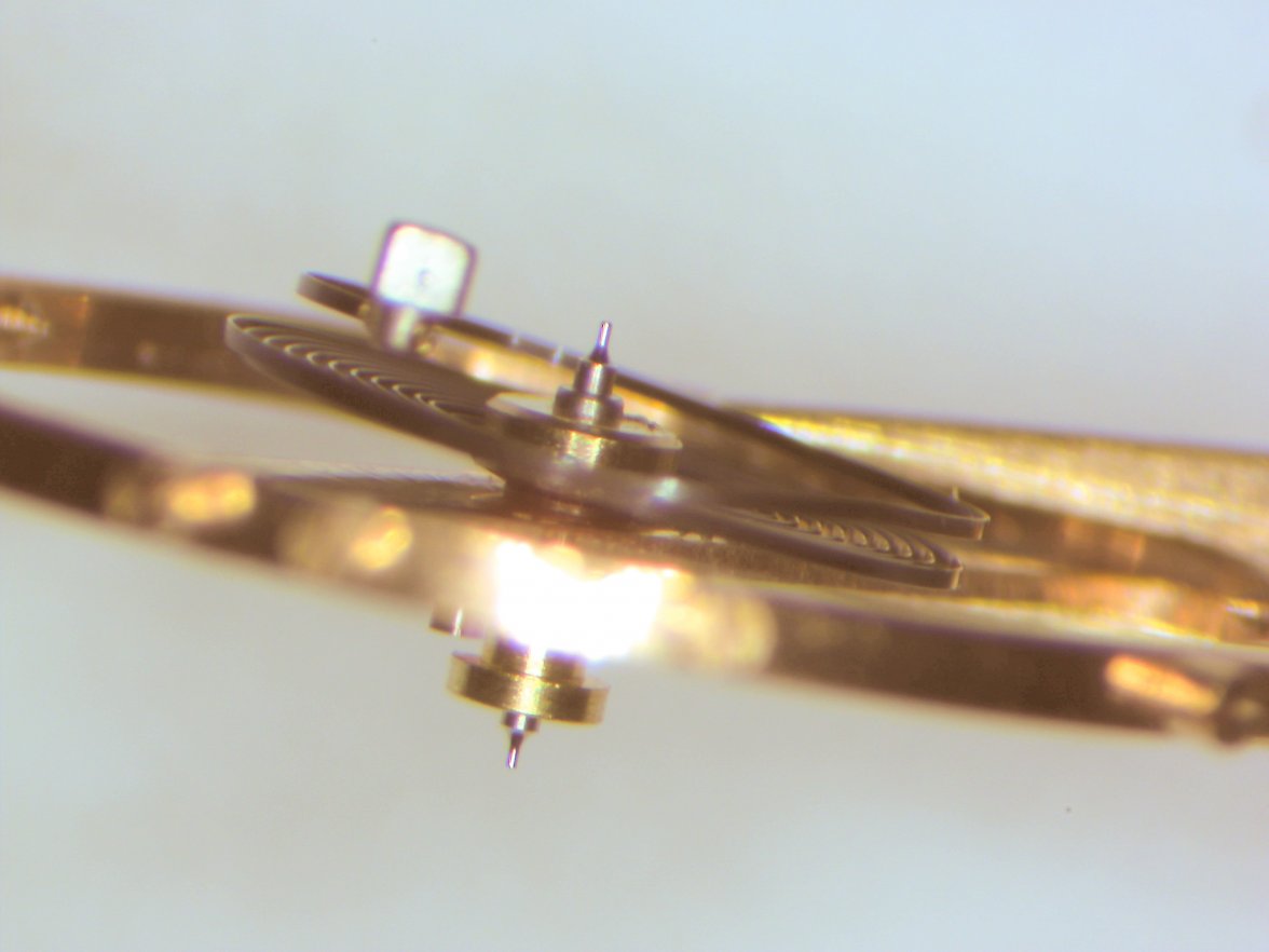 hairspring4.jpg