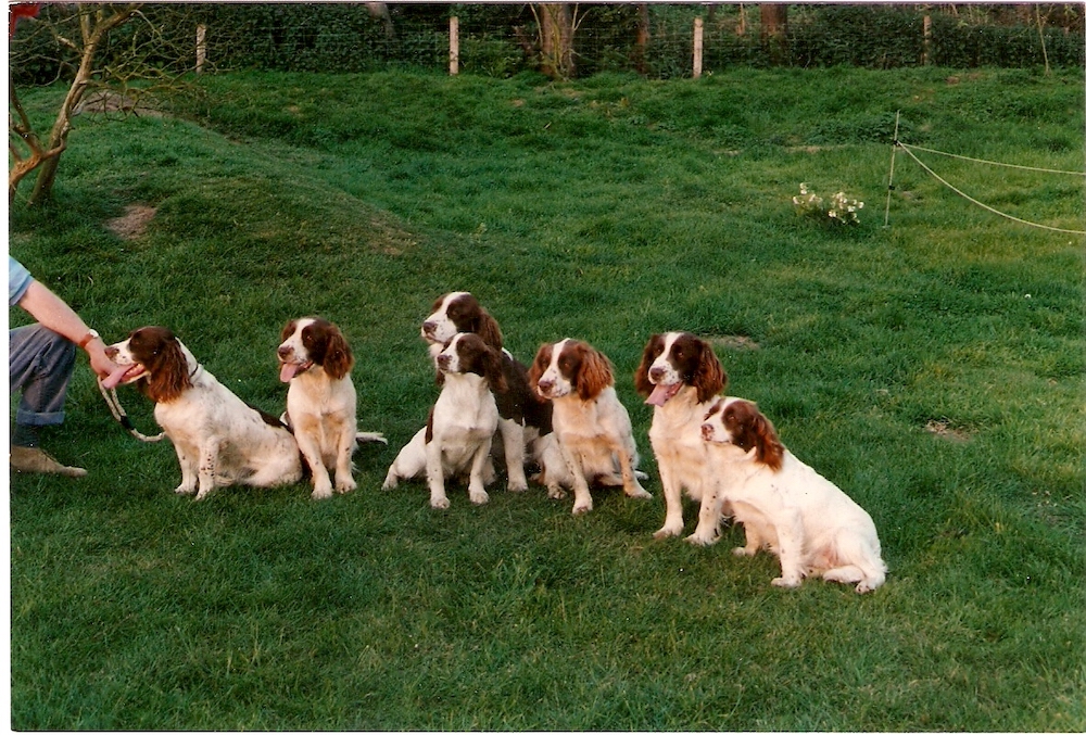 J1184x802-88536 copy.jpg