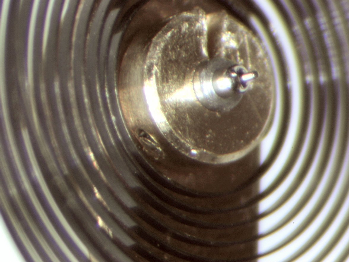 hairspring5.jpg