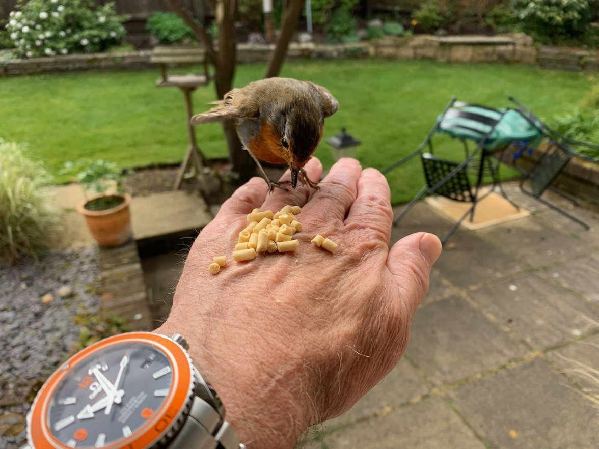 IMG_0232.jpeg IMG_0232.jpeg