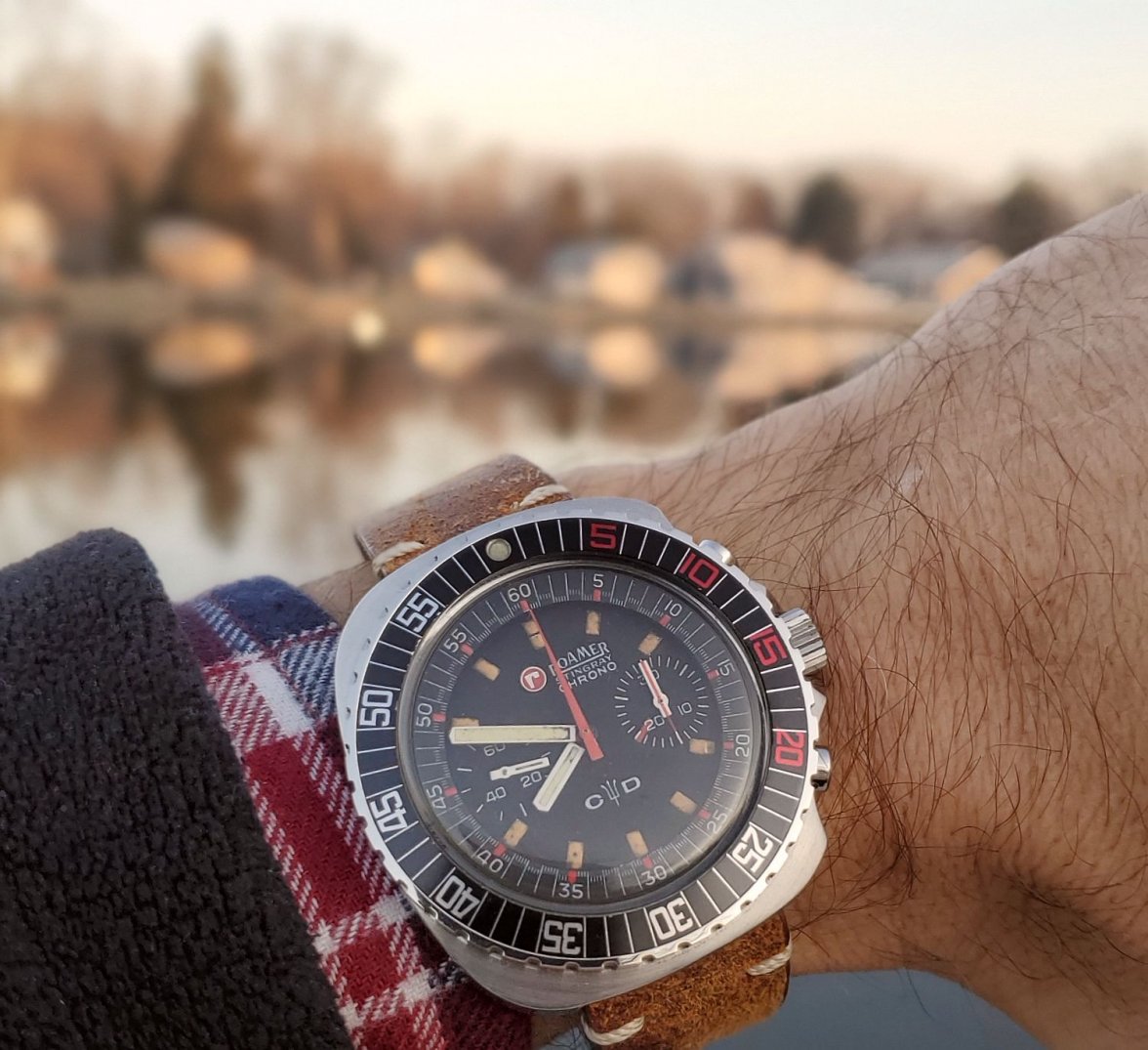 Roamer ws 1 20191221_074834.jpg