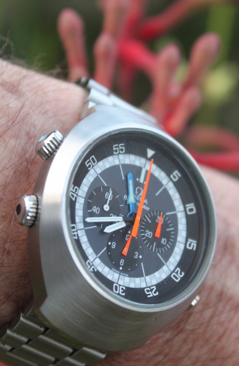 flightmaster IMG_8483.jpg