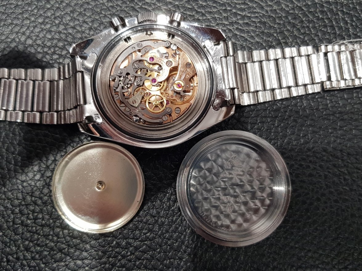 Speedie mov caseback.jpg