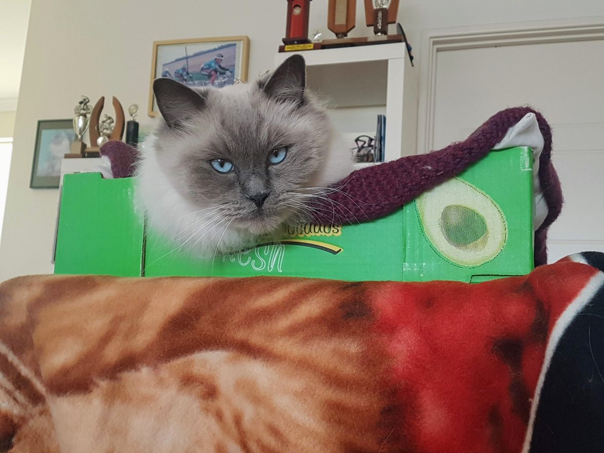 20190610_114547.jpg