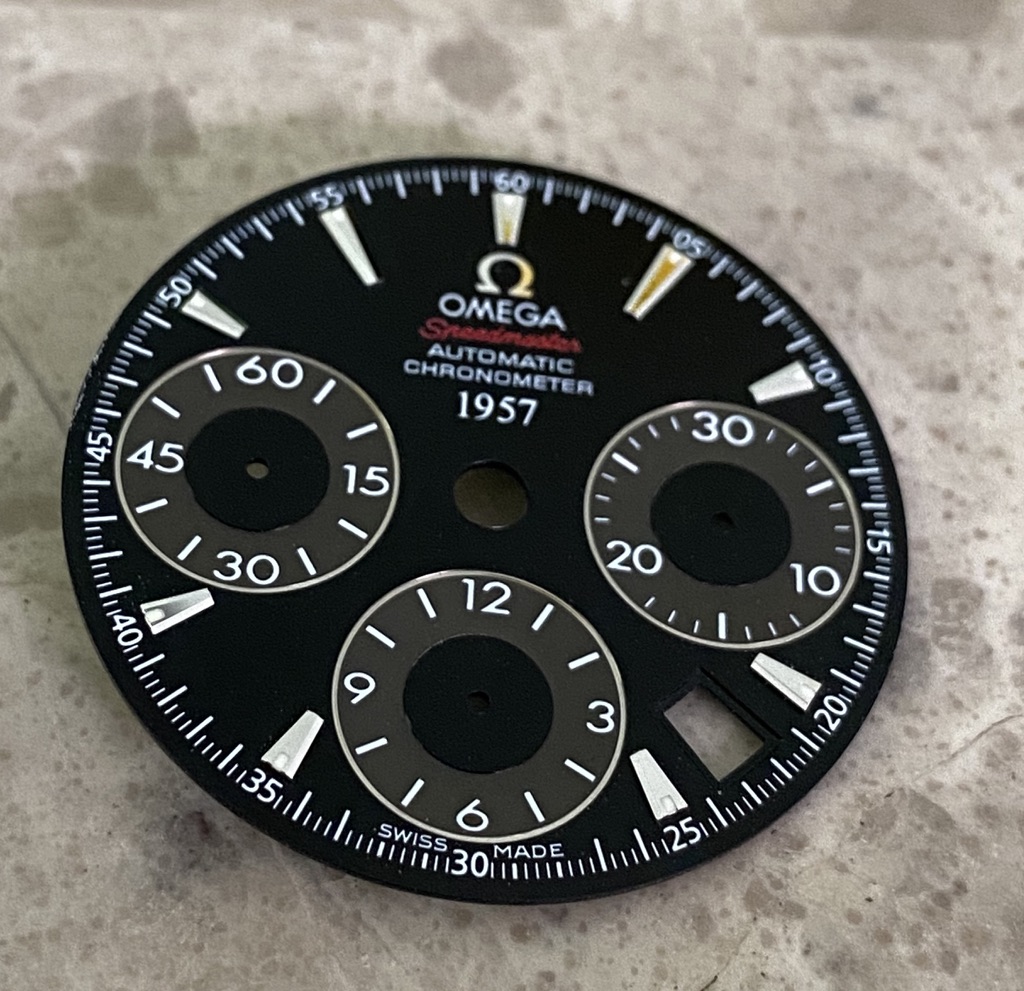 Speedy-1.jpg Speedy-1.jpg