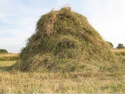 haystack.jpg