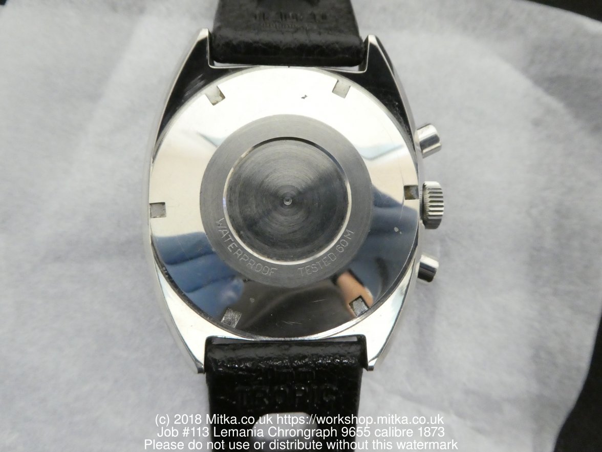 EDE0A772-4A0A-4AF8-A7E8-CE3A8503C17A.jpeg EDE0A772-4A0A-4AF8-A7E8-CE3A8503C17A.jpeg