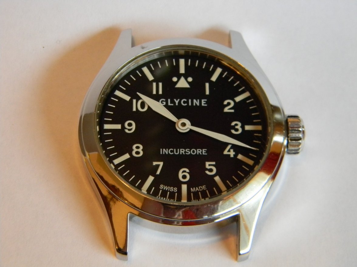 glycine_incursor 002.JPG glycine_incursor 002.JPG