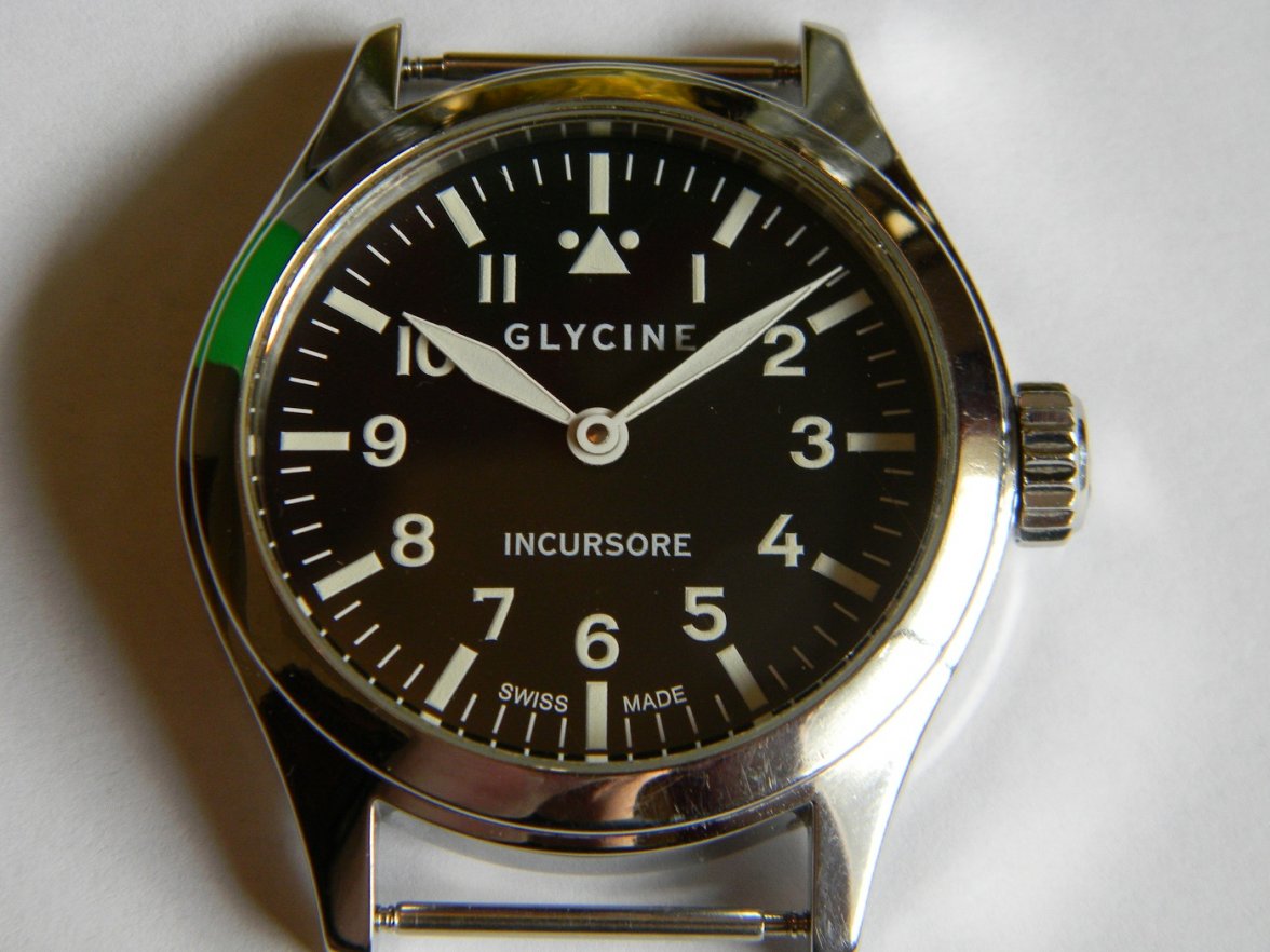 glycine_incursor 003.JPG glycine_incursor 003.JPG