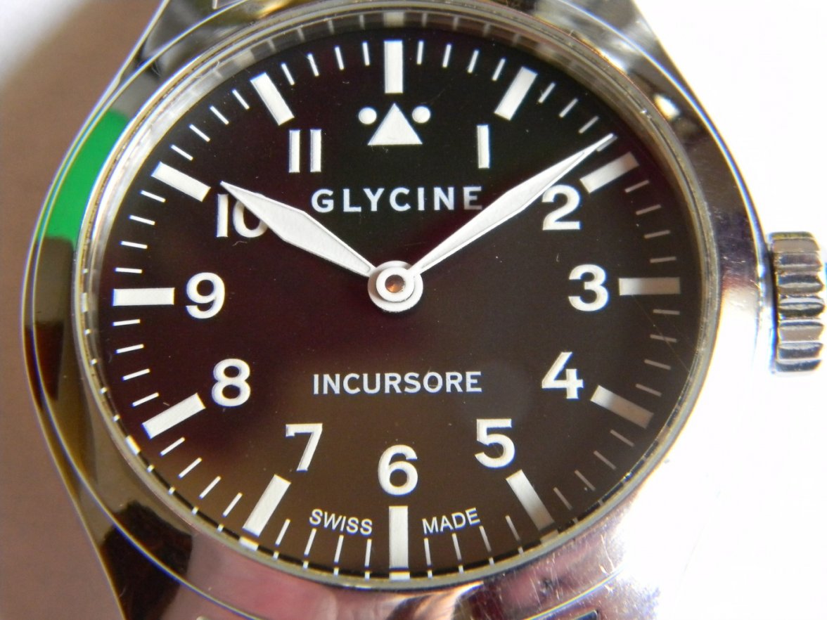 glycine_incursor 004.JPG glycine_incursor 004.JPG