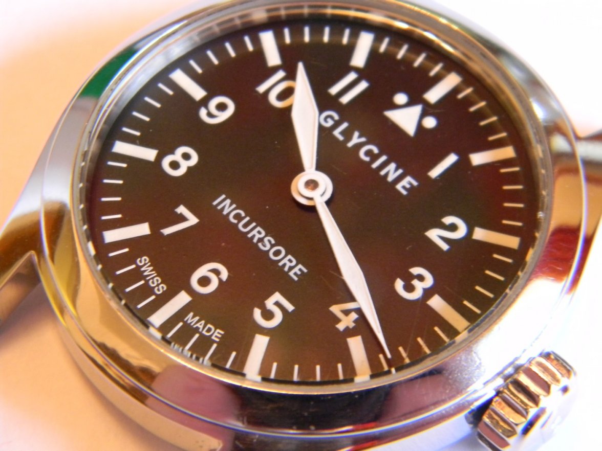 glycine_incursor 005.JPG glycine_incursor 005.JPG