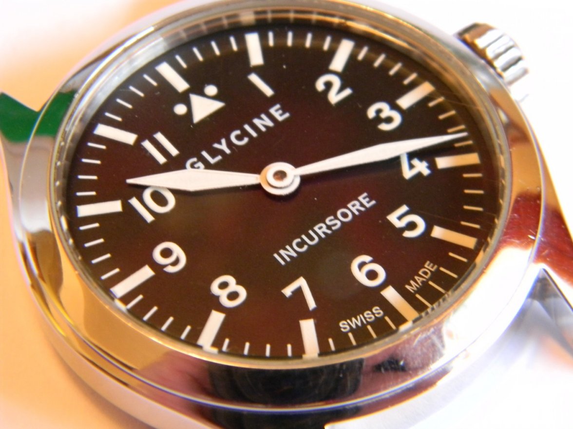 glycine_incursor 006.JPG glycine_incursor 006.JPG