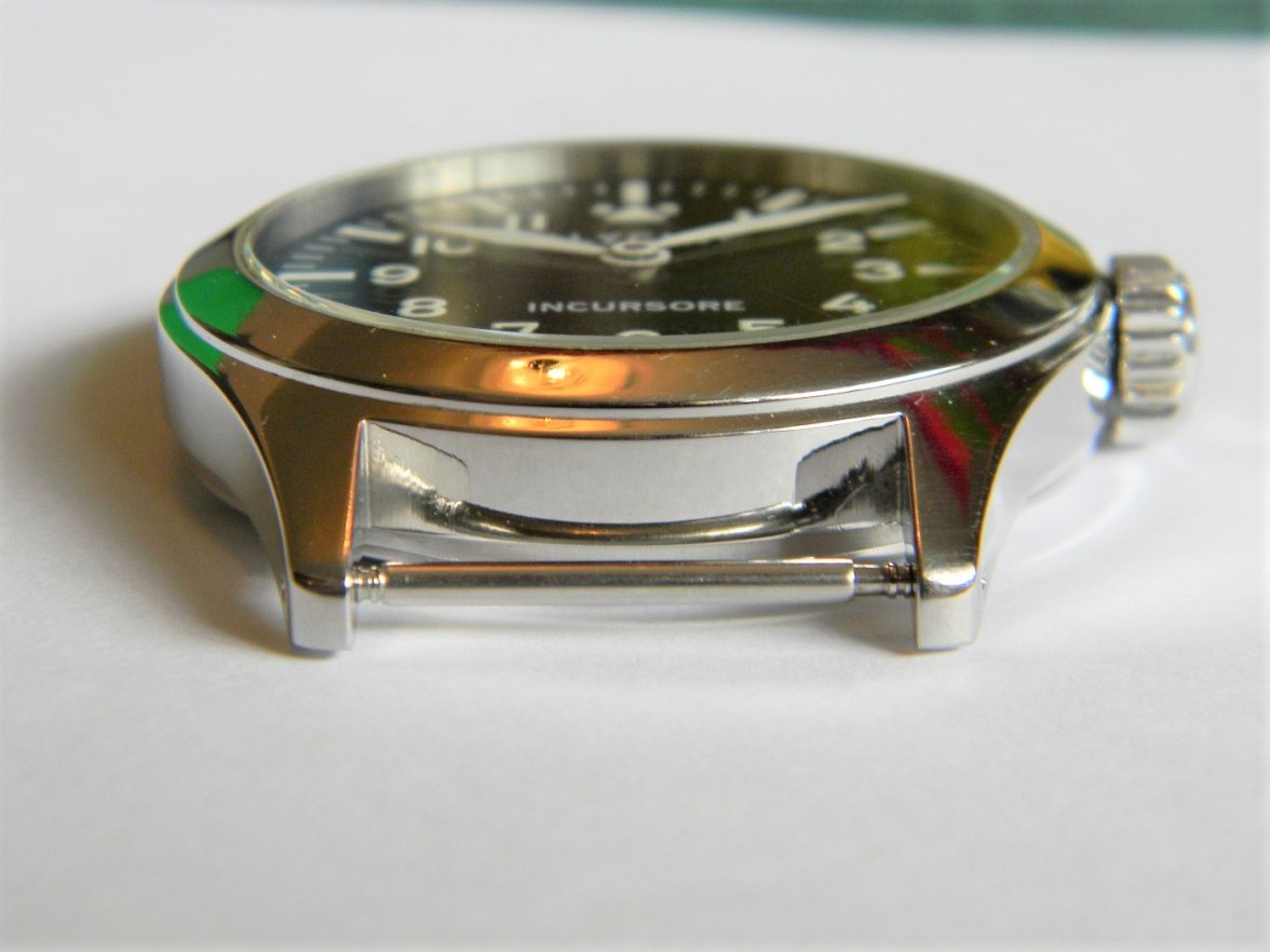 glycine_incursor 008.JPG glycine_incursor 008.JPG