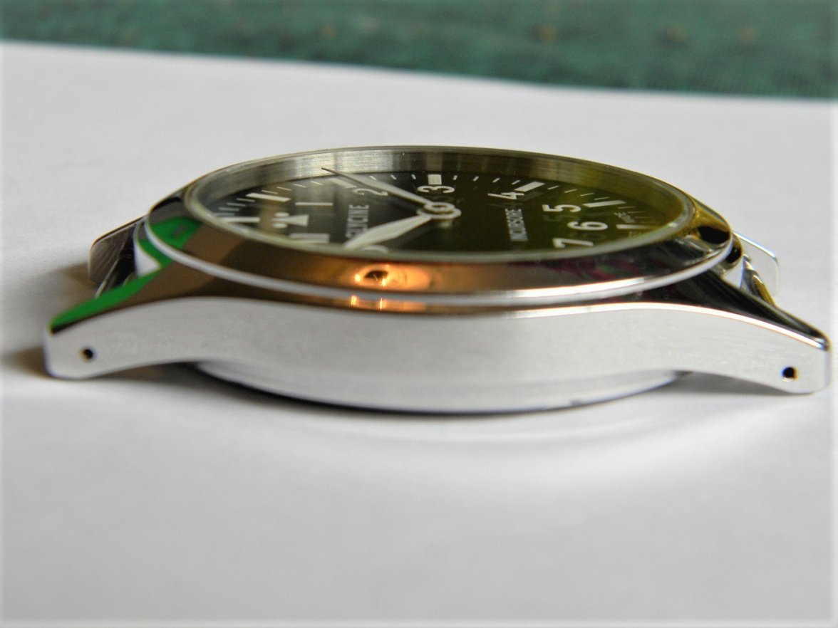 glycine_incursor 009.JPG glycine_incursor 009.JPG