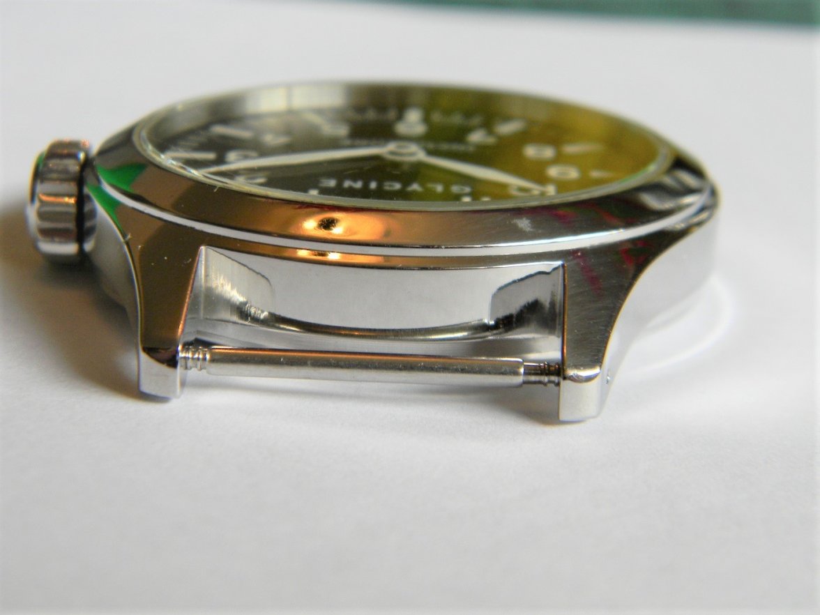 glycine_incursor 010.JPG glycine_incursor 010.JPG